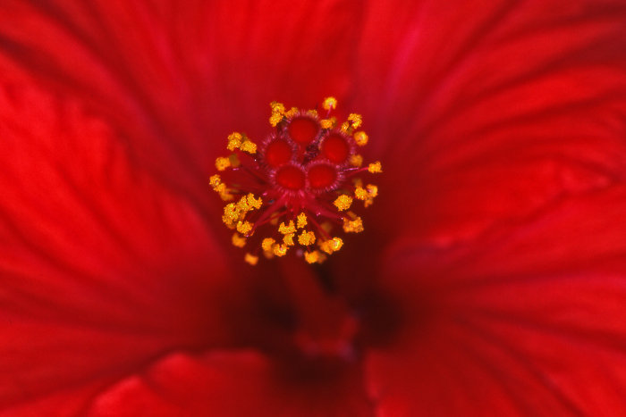 Conoscenza